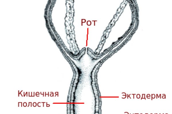 Кракен наркоплощадка